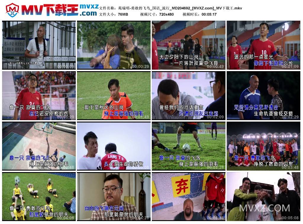 苑瑞明-勇敢的飞鸟_国语_流行_MD204692